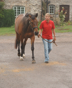 Walking up with horse